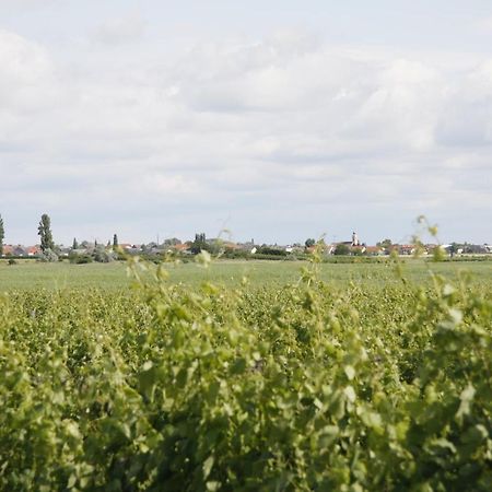 Pension & Weingut Storchenblick อิลมิทซ์ ภายนอก รูปภาพ